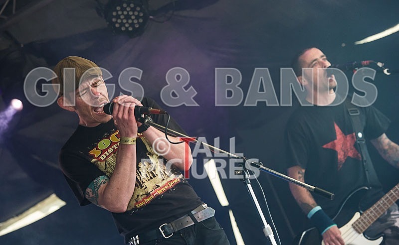 Bulletproof-8 - BULLETPROOF