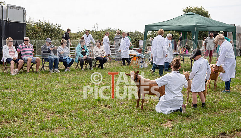 Guernsey Agricultural Show 2021-69 - GUERNSEY AGRICULTURAL SHOW 2021