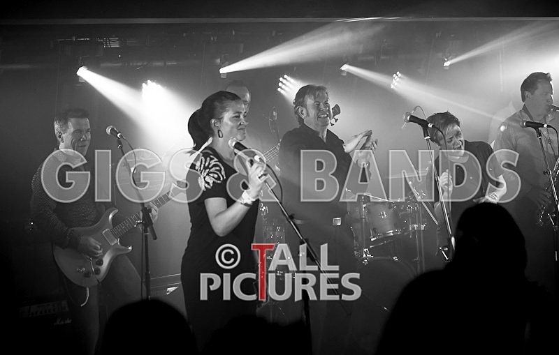 King Rat and the Soul Cats-95 - KING RAT & THE SOUL CATS