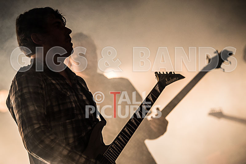 Granite Wolf-13 - GRANITE WOLF