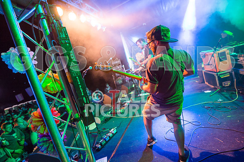 Honest Crooks-195 - HONEST CROOKS