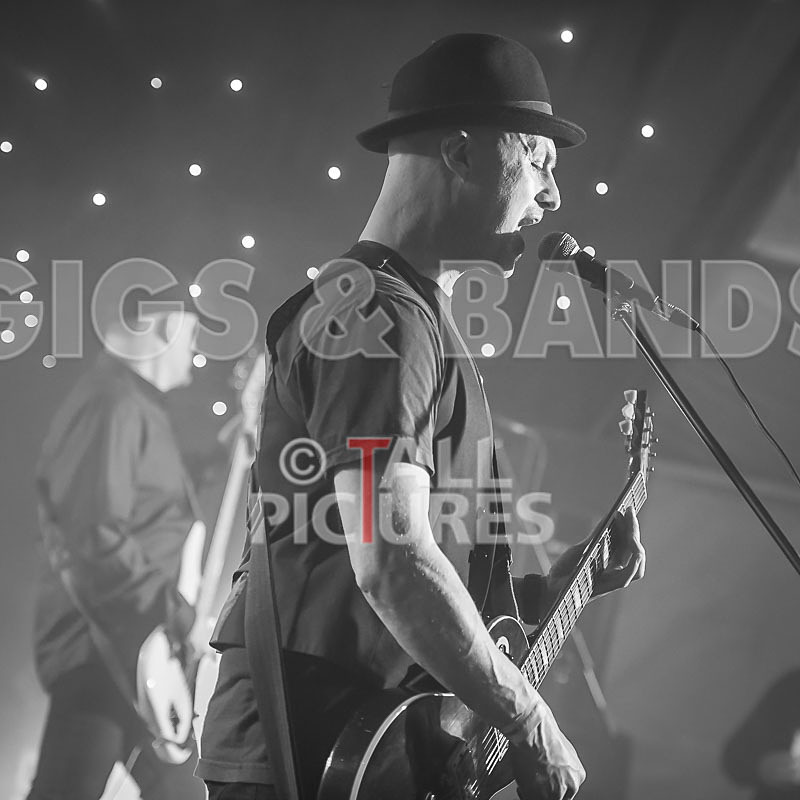 Peppered Ant Legs-185 - PEPPERED ANT LEGS