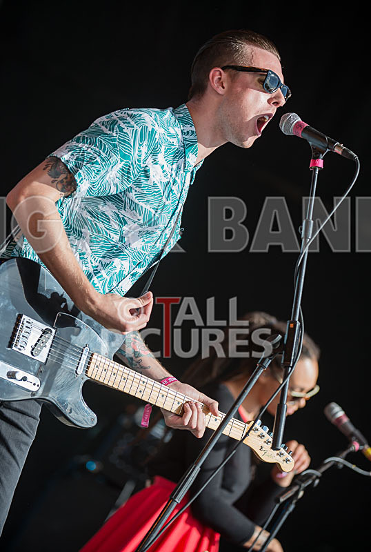 The Skints-1 - THE SKINTS