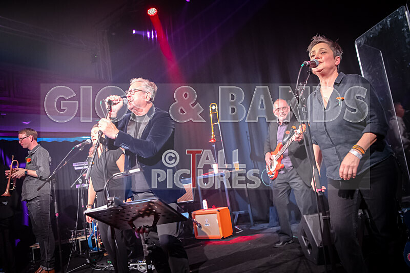 King Rat  the Soul Cats-474 - KING RAT & THE SOUL CATS