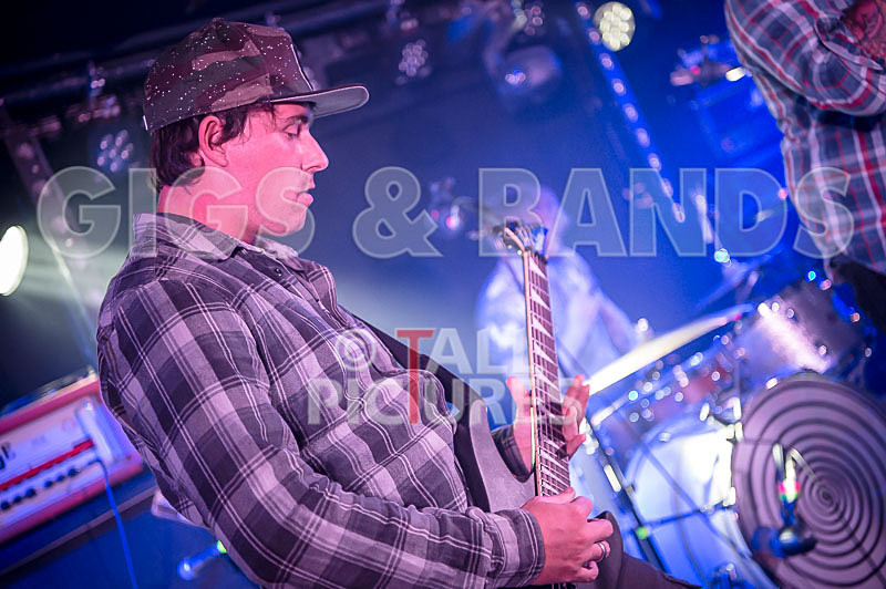 Granite Wolf-2 - GRANITE WOLF