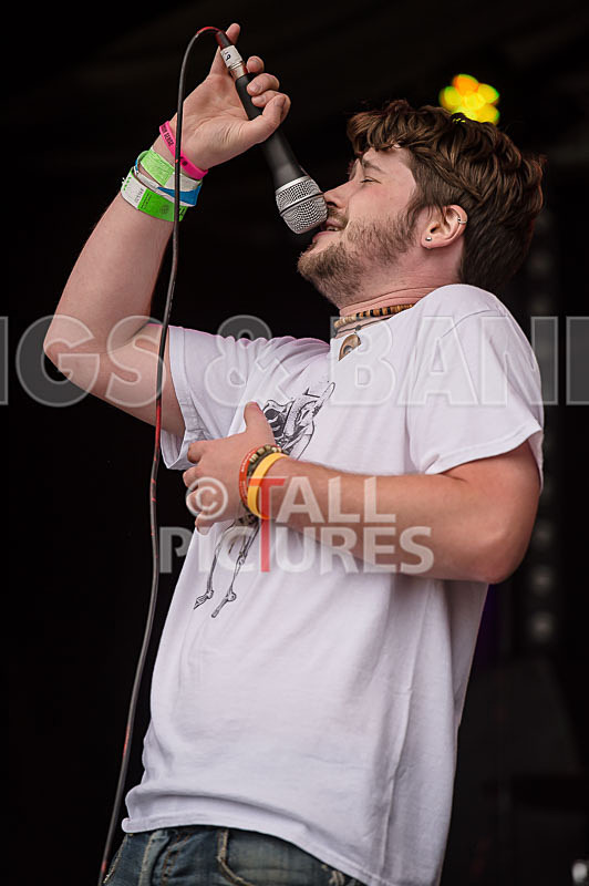 Jawbone-19 - JAWBONE