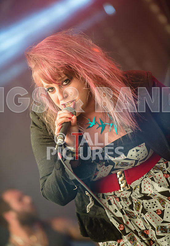 Static Alice-110 - STATIC ALICE