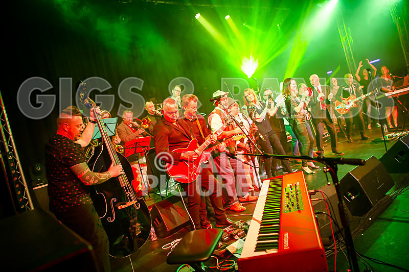 Harry Dean Junior and the New Breed-33 - HARRY DEAN JUNIOR AND THE NEW BREED