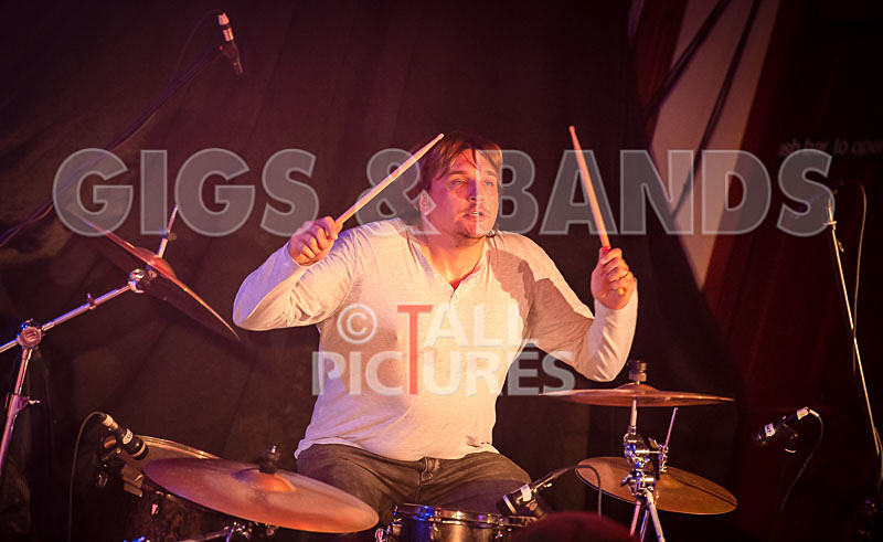 The Risk-386 - THE RISK