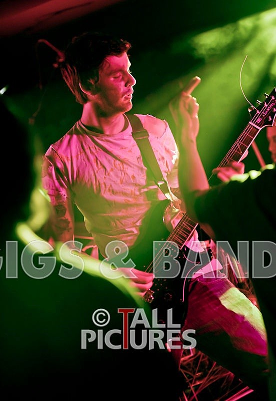 Brutus Stonefist-156 - BRUTUS STONEFIST