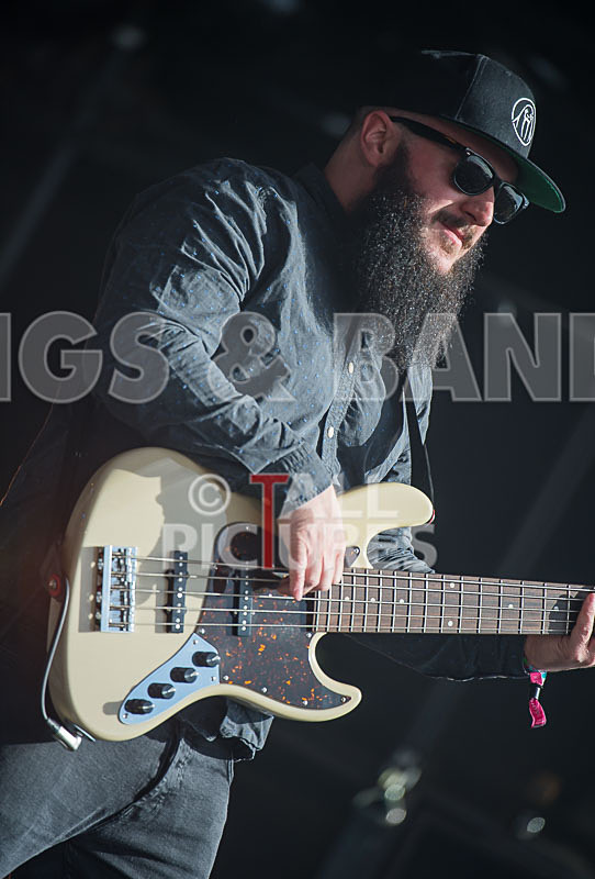 The Skints-21 - THE SKINTS