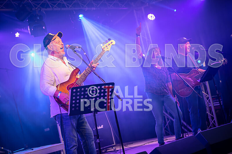 The Vinyls-1 - THE VINYLS