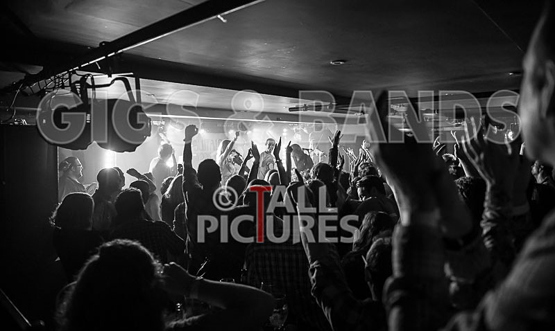 Buffalo Huddleston-133 - BUFFALO HUDDLESTON