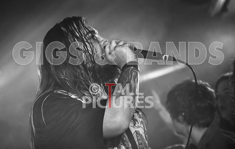 Stone Em All-205 - STONE EM ALL