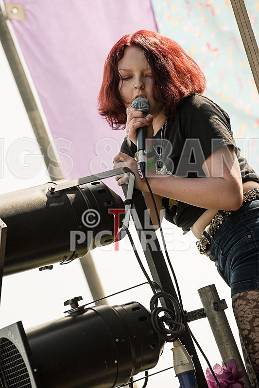 SoPM Vale Earth Fair-29 - SoPM on the VIEWALALU STAGE