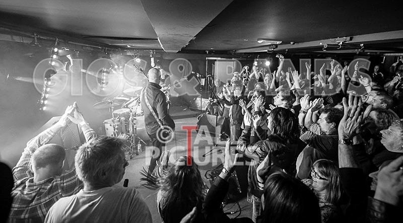 Wilko Johnson Farewell Tour-42 - THE WILKO JOHNSON BAND