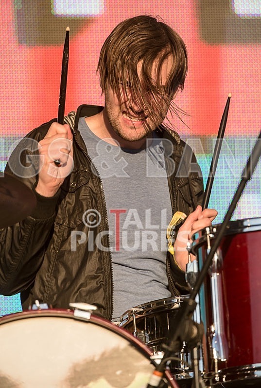 The Cribs-6 - THE CRIBS