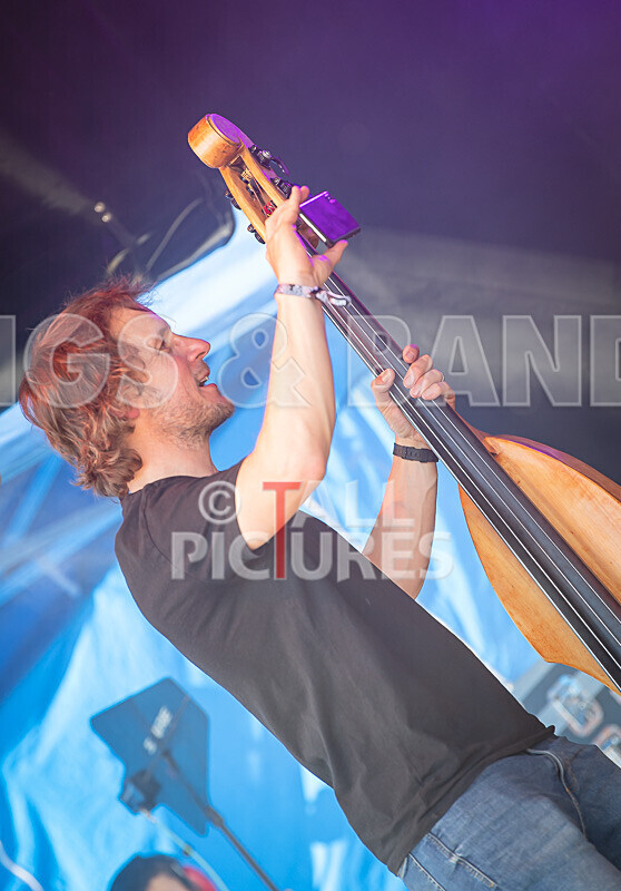 Buffalo Huddleston-755 - BUFFALO HUDDLESTON