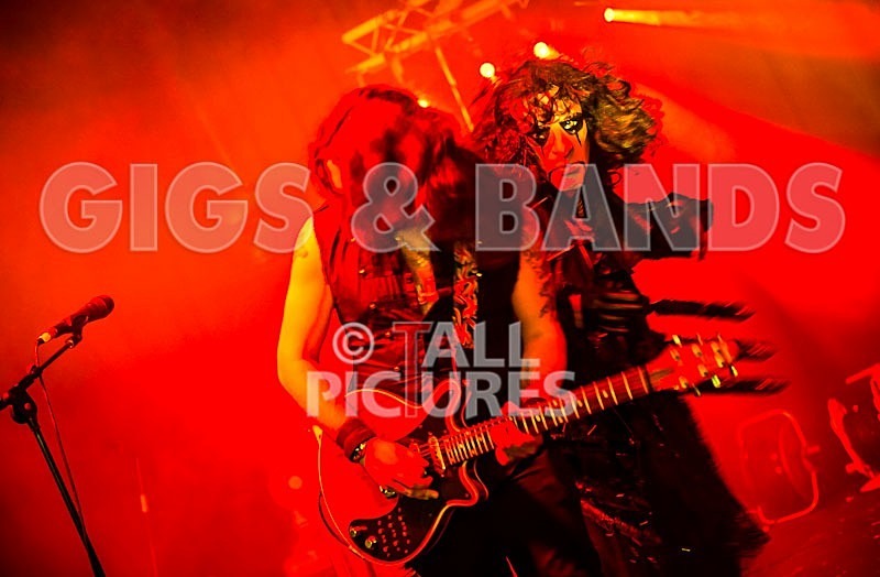 Gallus Cooper-12 - GALLUS COOPER