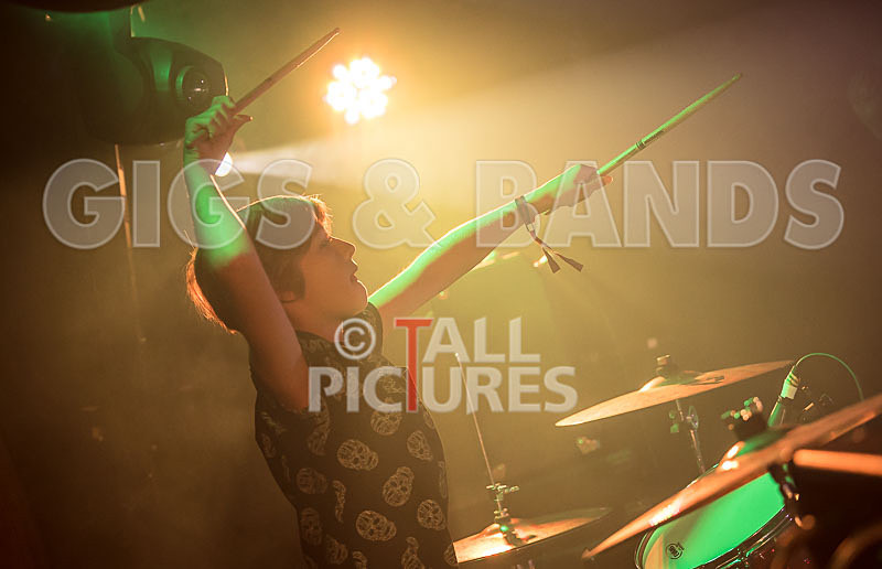 The Lemmings-12 - THE LEMMINGS