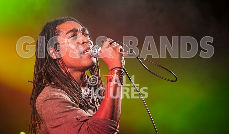 Rebel Control-11 - REBEL CONTROL