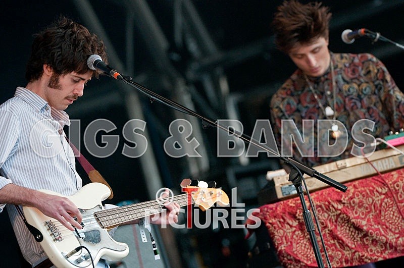 Golden Silvers-6 - GOLDEN SILVERS