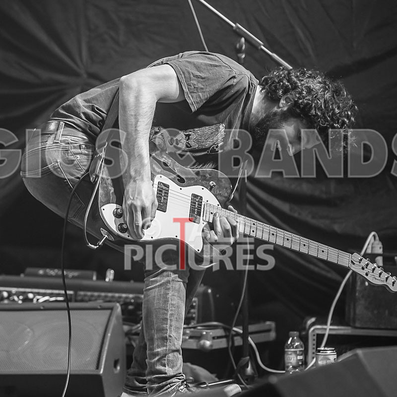 Static Alice-444 - STATIC ALICE