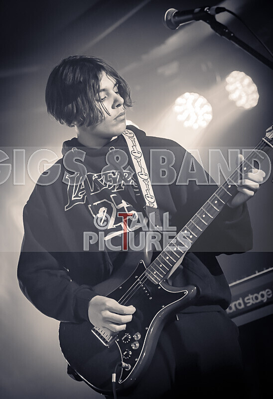 Pixie Pearls-20 - PIXIE PEARLS