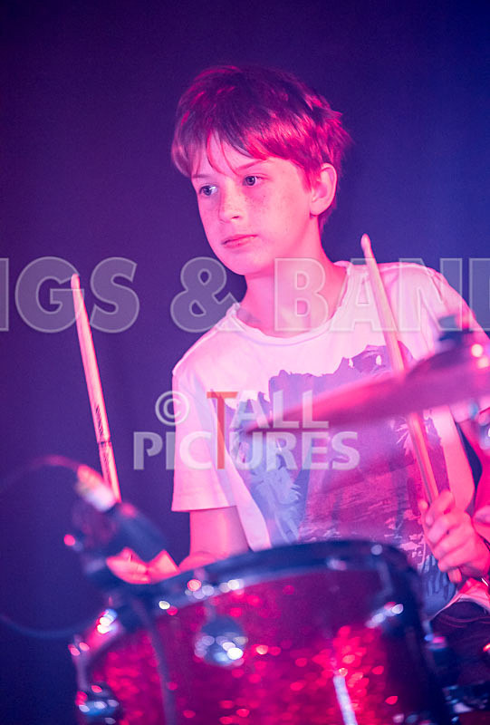 The Lemmings-23 - THE LEMMINGS