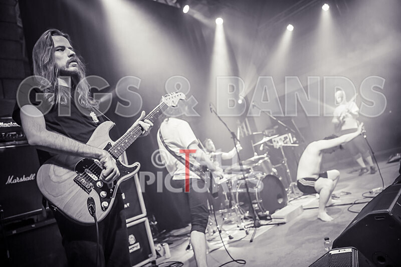 Pigsx7-98 - PIGS PIGS PIGS PIGS PIGS PIGS PIGS