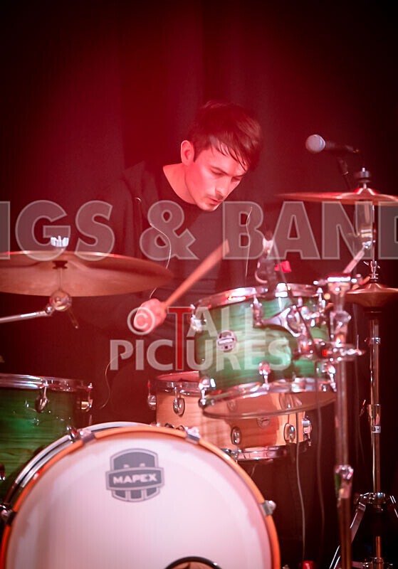 The Tarantulips-19 - THE TARANTULIPS