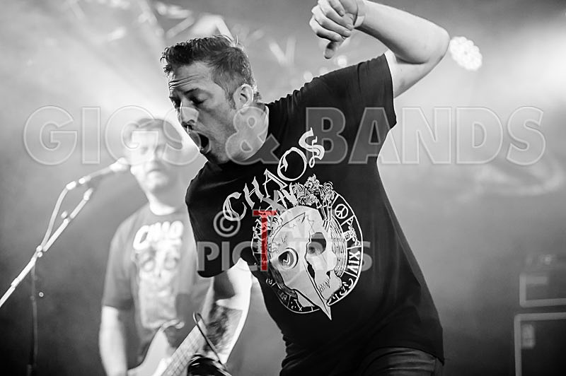 Spunge-163 - [spunge]