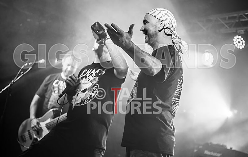 Spunge-165 - [spunge]