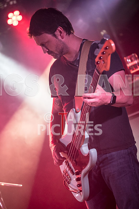 Gay Army-371 - GAY ARMY