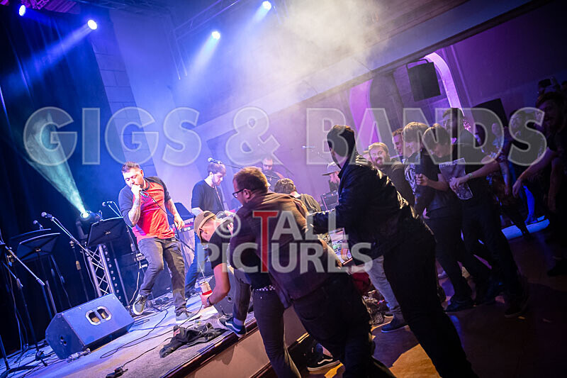 Tom Domaille-3 - THE GUESTS