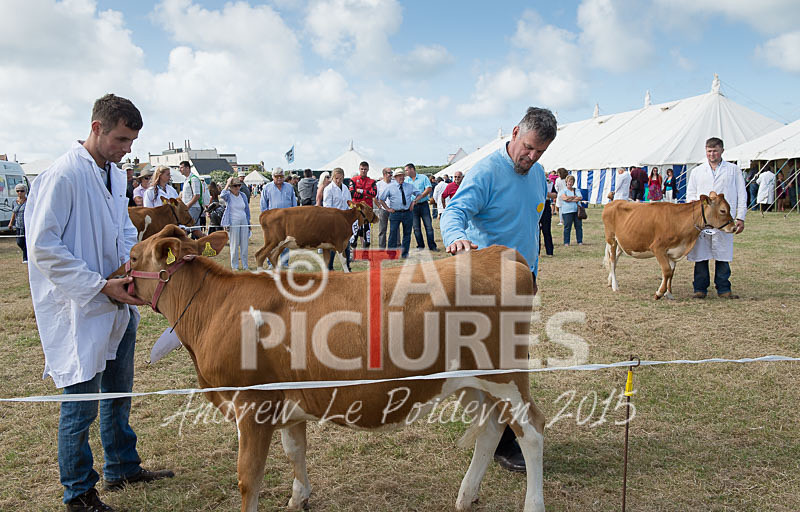 West Show_2014-10 - THE WEST SHOW 2014