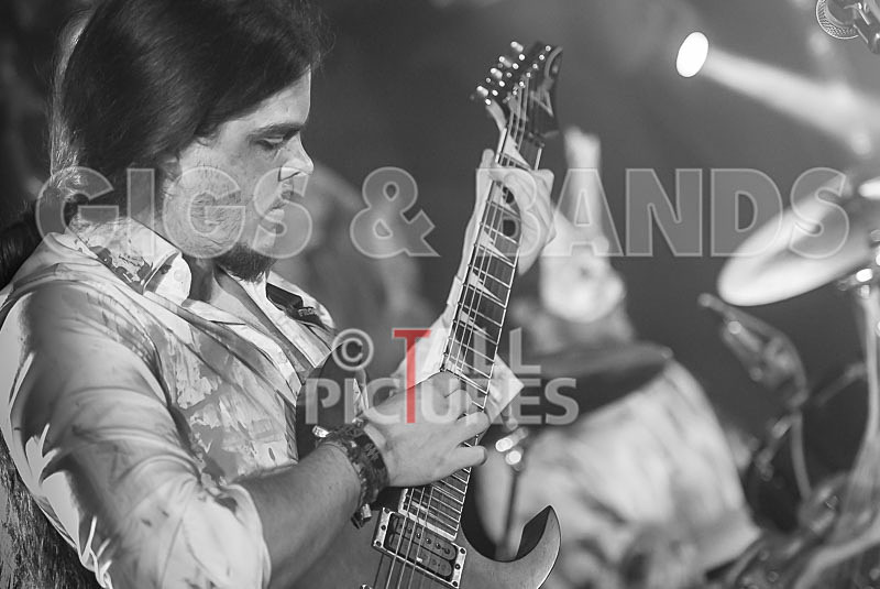 Masticated-53 - MASTICATED