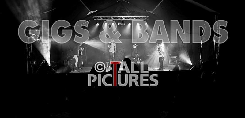 Asylum Seekas-57 - ASYLUM SEEKAS AT IVY CASTLE