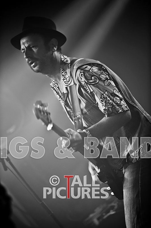 Peppered Ant Legs-65 - PEPPERED ANT LEGS