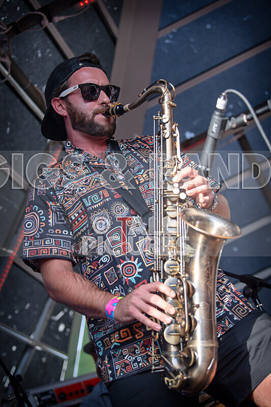 Pam Bindi-10 - PAM BINDI