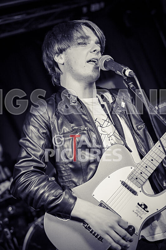 Road Kill Rubber Duckies-3 - ROAD KILL RUBBER DUCKIES