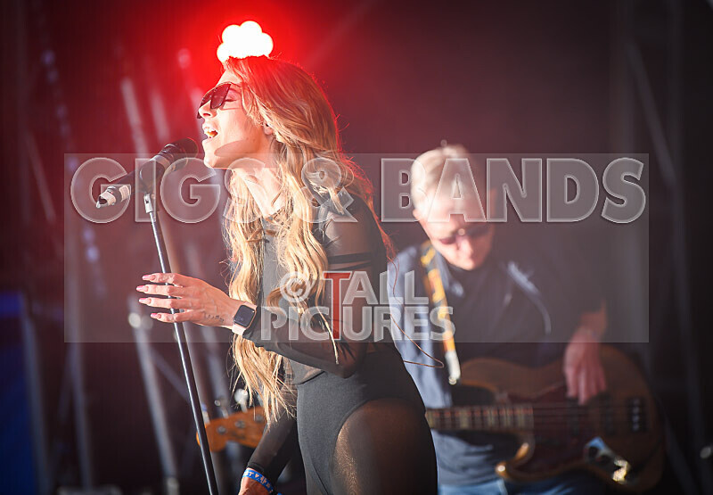 Element 6-80 - ELEMENT 6