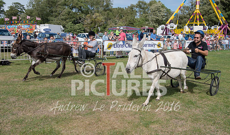 Donkey Derby_2016-27 - LIONS CLUB DONKEY DERBY 2016