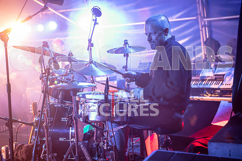 Sons of the Desert-343 - SONS OF THE DESERT