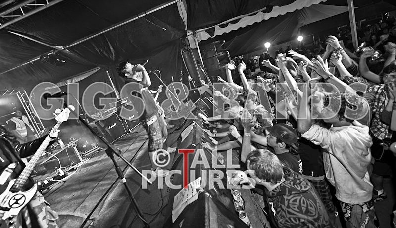 Spunge-27 - [spunge]