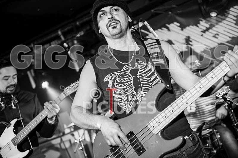 Harlequin Knights-41 - HARLEQUIN KNIGHTS