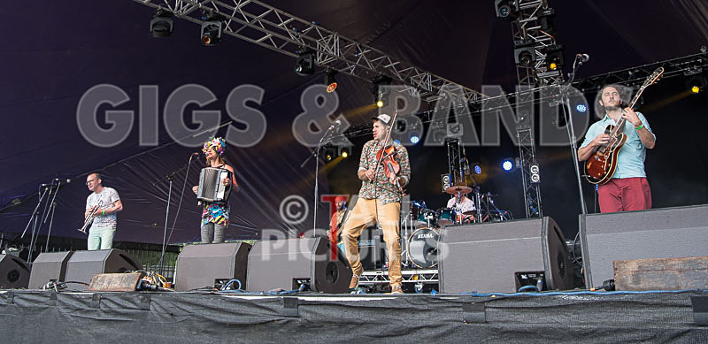 Molotov Jukebox-50 - MOLOTOV JUKEBOX