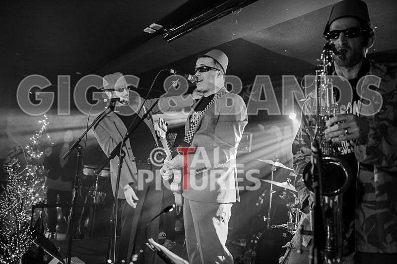 Sons of the Desert-180 - SONS OF THE DESERT