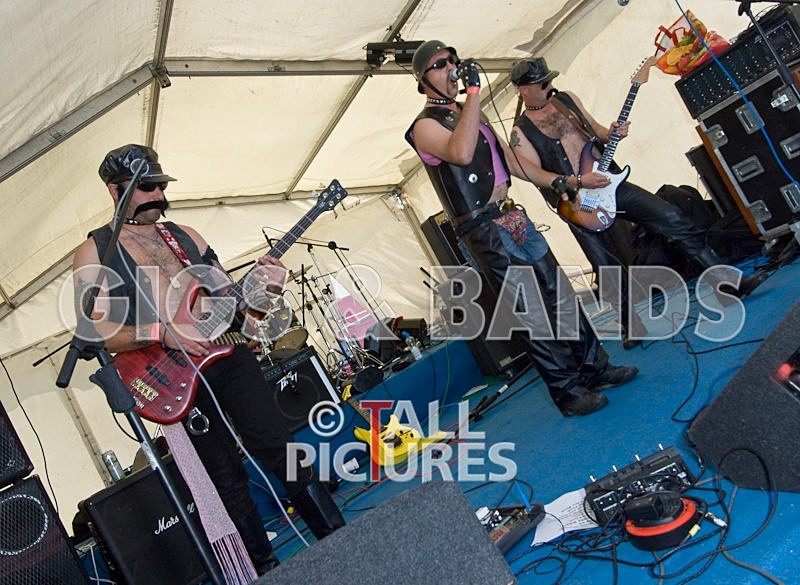 PAL-2 - GREENMAN CHAOS FESTIVAL 2007 BANDS