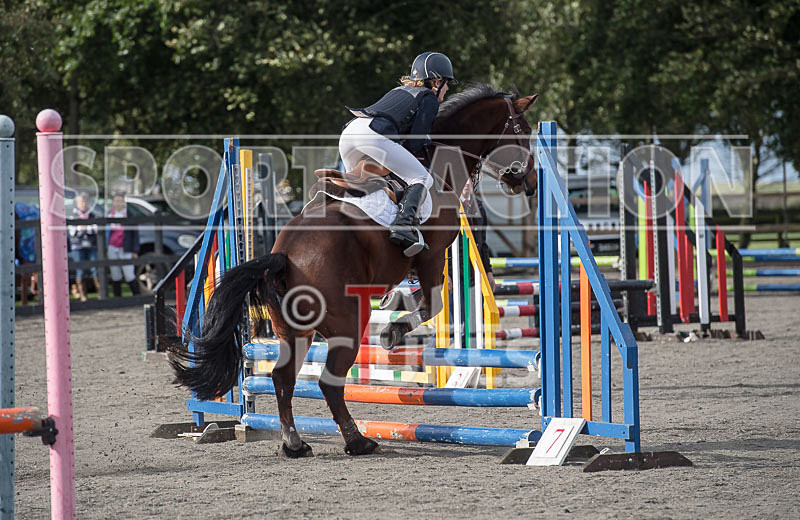 North Showjumping_2016-14 - NORTH SHOW SHOWJUMPING 2016